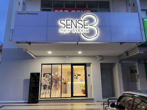 Sense3 Hair Studio by H-Design