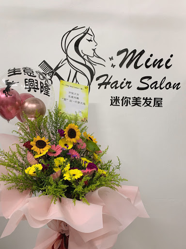 Mini Hair Salon