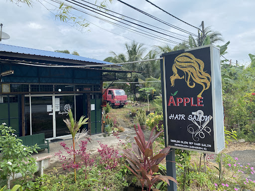 Apple Hair Salon(Wp Hair Salon