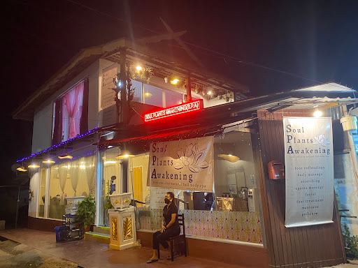 SPA LANGKAWI @ SOUL PLANTS AWAKENING SPA