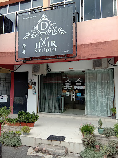D Hair Studio