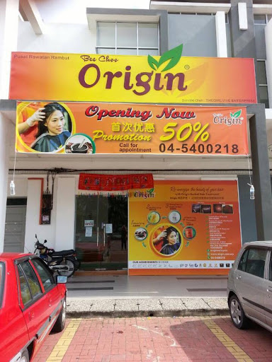 Bee Choo Origin (Alma)