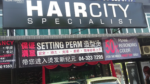 Hair City Specialist Premium