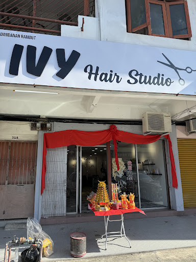 Ivy hair studio