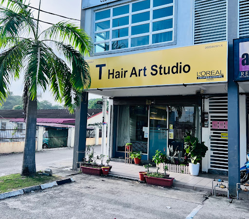 T Hair Art Studio - Sitiawan