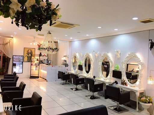 D Zire Hair Studio Academy