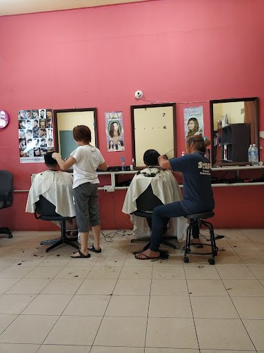 N Salon 2
