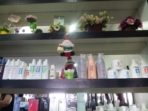 D"Elegant Salon, 公仔