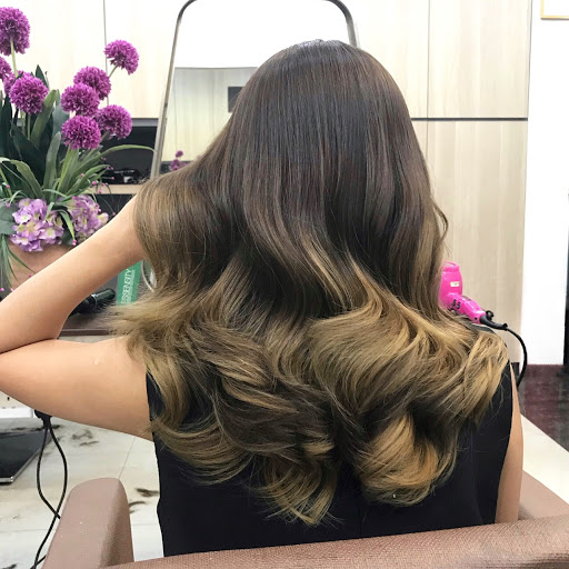 Kelvin Hair Salon Professional