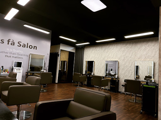 Ins fà Salon