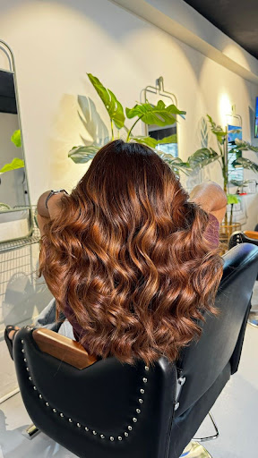 AmanTerra Beauty & Hair Salon
