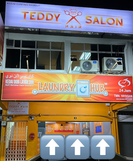 Teddy Hair Salon