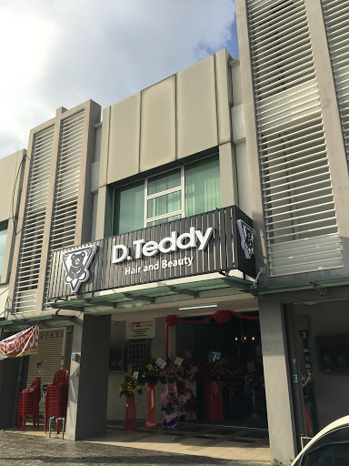 DTeddy Hair & Beauty