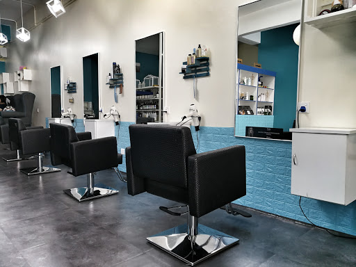 Hair Bluey Studio