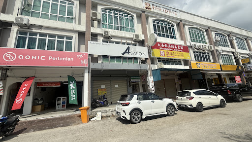 A. SALON