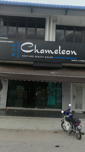 Chameleon 美容美发沙龙