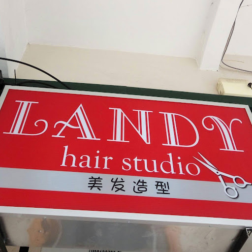 Landy Hair Studio (Gelang Patah)