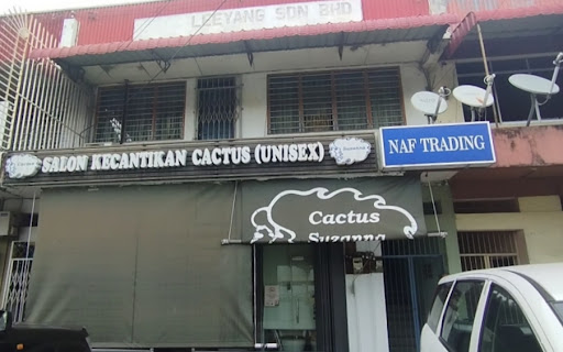 Saloon Kecantinkan Cactus (Unisex) Saloon Kecantinkan Cactus (Unisex)